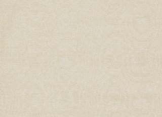 Фото - Ткани Clarke&Clarke Moire - 404053>