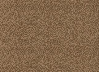 Фото - Ткани Zoffany Maze Fabrics - 390275>