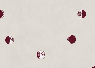 Фото - Обои Coordonne Instant - 580749>