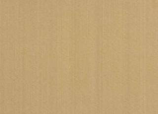 Фото - Обои Pierre Frey Graminees 2 - 311492>