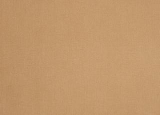 Фото - Обои Caselio Obsession - 231251>