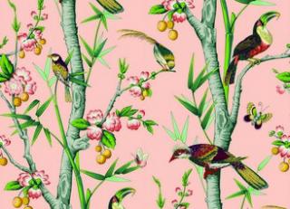 Фото - Обои Nobilis Grand Angle - 467279>