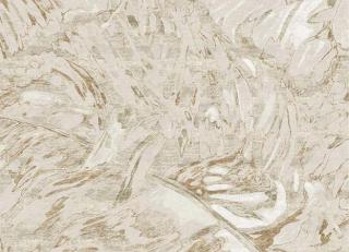 Фото - Ковры Tapis Rouge Fabulous - 590043>