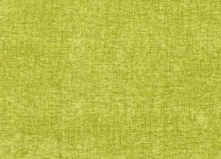 Фото - Ткани Clarke&Clarke Karina - 296109>