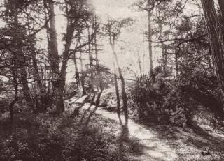 Фото - Обои Eijffinger Lino - 422605>