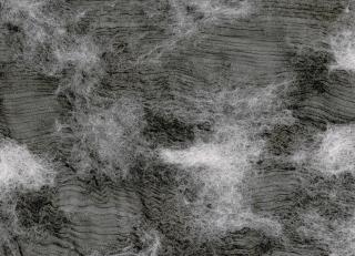 Фото - Ткани CMO Paris Hanging Garden - 550910>