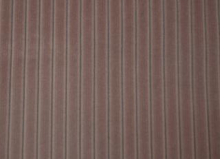 Фото - Ткани Foresti Home Collection Velluto a coste small - 563366>