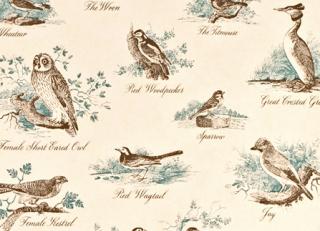 Фото - Обои Lewis & Wood Classical Wallpapers - 212582>