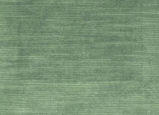 Фото - Ткани Clarke&Clarke Majestic Velvet - 296308>