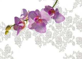 Фото - Обои Wall&Deco Gio Pagani - 199839>