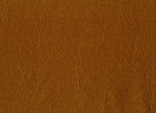 Фото - Ткани Rubelli Tiraz - 546385>