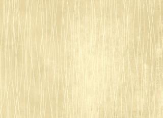 Фото - Обои Carey Lind Rhytm&Hues - 240588>