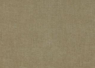 Фото - Ткани Jane Churchill Palma II - 539537>