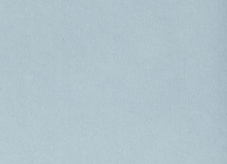 Фото - Ткани Foresti Home Collection Velluto di cotone Zeus - 563383>