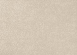 Фото - Ткани Zinc Parisienne - 456728>