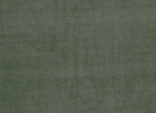 Фото - Ткани Clarke&Clarke Alvar - 295583>