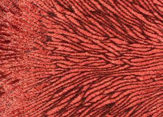 Фото - Ткани Gancedo Chromatic - 491040>