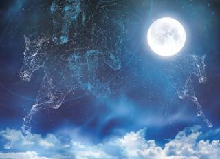 Фото - Обои Ortograf Mirage - 477159>