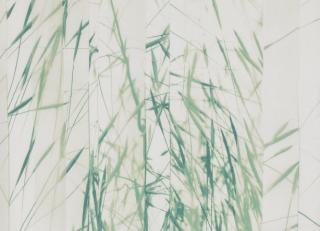 Фото - Ткани Villa Nova Ceto Sheers - 472140>