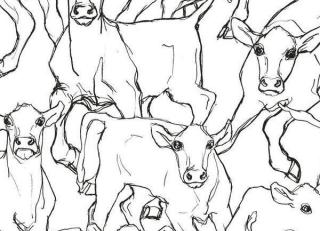 Фото - Обои Jannelli & Volpi Marimekko - 440326>