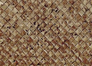 Фото - Обои CMO Paris Palm Tree - 550965>