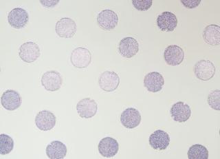 Фото - Обои Eijffinger Rice - 239388>