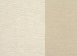 Фото - Ткани Equipo DRT Bolshoi - 458710>