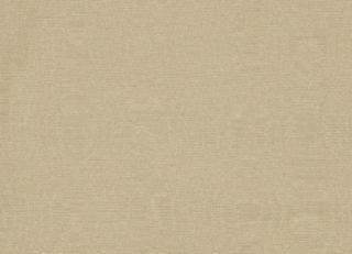 Фото - Ткани Clarke&Clarke Moire - 404039>