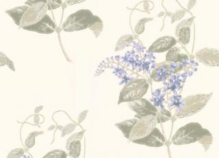 Фото - Обои Cole & Son Archive Anthology - 350247>