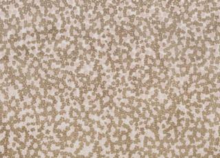 Фото - Ткани Kirkby design Burst - 527291>