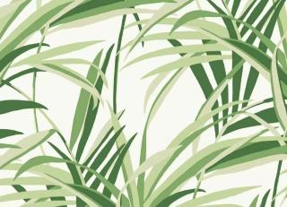 Фото - Обои York Wallcoverings Tropics - 548844>