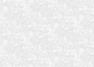 Фото - Обои Tres Tintas Sophie - 198128>