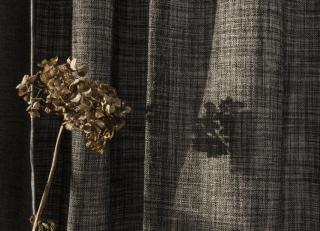 Фото - Ткани Designs Of The Time Noble Savage 2 - 547442>