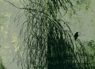 Фото - Обои Wall&Deco CODE 2018 CONTEMPORARY - 464744>