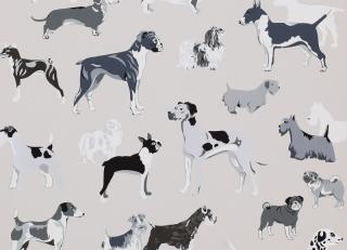 Фото - Обои Jane Churchill Get Happy - 384560>