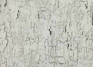 Фото - Обои Black Edition Kansai Wallcoverings - 321019>