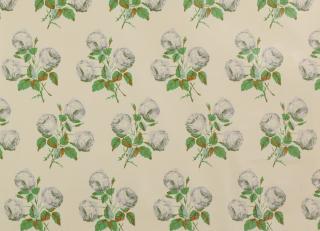 Фото - Ткани Colefax and Fowler Classic Prints I - 258427>