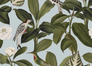 Фото - Обои Coordonne Feria - 559078>