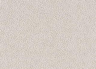 Фото - Обои G.P. and J.Baker Oleander Wallpaper - 320912>