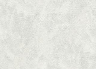 Фото - Обои Roberto Cavalli No.9 - 610020>