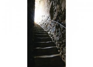 Фото - Обои Koziel Perspectives (Velvet) - 324168>