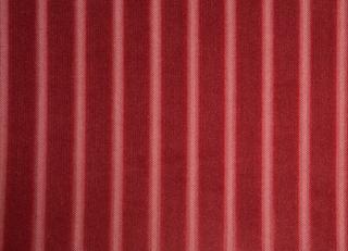 Фото - Ткани Foresti Home Collection Velluto a coste larghe - 563309>