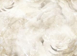 Фото - Обои Inkiostro Bianco Light and Shadows - 547557>