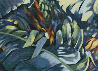 Фото - Ковры Tapis Rouge Fabulous - 590050>