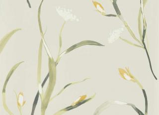 Фото - Обои Harlequin Zapara - 368540>