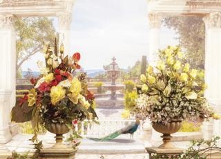 Фото - Обои Ortograf Светлана Бурматова - 479389>