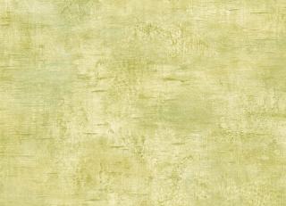 Фото - Фисташковые бумажные обои на стену - 217976>