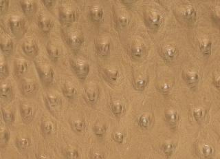 Фото - Аксессуары Pavoni Кожа Struzzo - 588920>