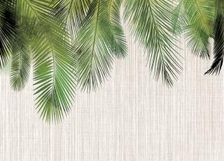 Фото - Обои Ortograf Oasis - 477172>