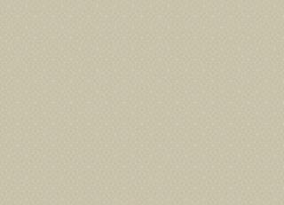 Фото - Обои The Trendsetter Studio Nouvel - 495905>